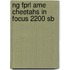 Ng Fprl Ame Cheetahs In Focus 2200 Sb
