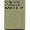 Ng Fprl Ame Cheetahs In Focus 2200 Sb door Warin