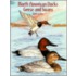 North American Ducks, Geese And Swans