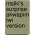 Ntsiki's Surprise Akwapim Twi Version