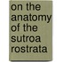 On the Anatomy of the Sutroa Rostrata