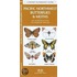 Pacific Northwest Butterflies & Moths