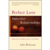 Perfect Love, Imperfect Relationships door John Welwood