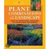 Plant Combinations for Your Landscape