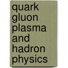 Quark Gluon Plasma And Hadron Physics by P.K. Sahu