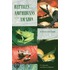 Reptiles And Amphibians Of The Amazon