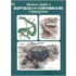 Reptiles and Amphibians Coloring Book