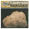 Sandstone and Other Sedimentary Rocks door Helen Pellant