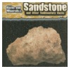 Sandstone and Other Sedimentary Rocks by Helen Pellant