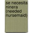 Se Necesita Ninera (Needed Nursemaid)