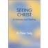 Seeing Christ In Sickness And Healing