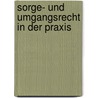 Sorge- und Umgangsrecht in der Praxis door Mallory Völker