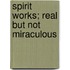 Spirit Works; Real But Not Miraculous