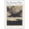 The  Burning Plain  And Other Stories door Juan Rulfo