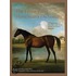 The Lyons Press Horseman's Dictionary