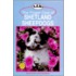 The Proper Care Of Shetland Sheepdogs