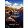 The Well Experience In The Wilderness by Shenequia Smith