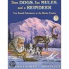 Three Dogs, Two Mules, and a Reindeer door Marjorie Cochrane