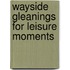 Wayside Gleanings For Leisure Moments