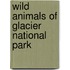 Wild Animals of Glacier National Park