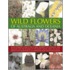 Wild Flowers Of Australia And Oceania