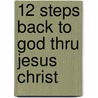 12 Steps Back To God Thru Jesus Christ door Richard S. Lee