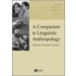 A Companion To Linguistic Anthropology