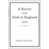 A Survey Of The Irish In England, 1872 door Hugh Henrick