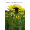 A Walk in the Mindfield / Short Dreams by Kevin Mogged