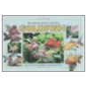An Essential Guide To Keeping Goldfish by Stephen Smith