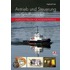 Antrieb und Steuerung im Schiffsmodell