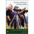 Arrivals And Rivals - A Birding Oddity