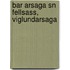 Bar Arsaga Sn Fellsass, Viglundarsaga