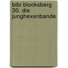 Bibi Blocksberg 30. Die Junghexenbande by Theo Schwartz