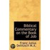 Biblical Commentary On The Book Of Job
