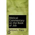 Biblical Commentary On The Book Of Job