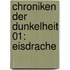 Chroniken der Dunkelheit 01: Eisdrache