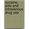 Cocaine, Aids And Intravenous Drug Use door Samuel R. Friedman