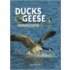Ducks & Geese of Minnesota Field Guide