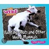 Fainting Goats and Other Weird Mammals by Carmen Bredeson