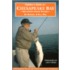 Flyfishers Guide to the Chesapeake Bay