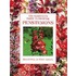 Gardener's Guide To Growing Penstemons