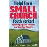 Help! I'm A Small Church Youth Worker! door Rich Grassel