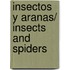 Insectos y aranas/ Insects and Spiders
