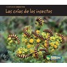 Las crias de los insectos / Bug Babies door Charlotte Guillain