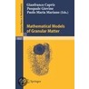 Mathematical Models Of Granular Matter door P. Giovine