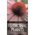 Medicinal Plants Of Britain And Europe
