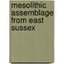 Mesolithic Assemblage From East Sussex