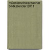 Münsterschwarzacher Bildkalender 2011 door Onbekend