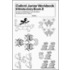 Oxf Junior Workbook:intro Book B (sch)